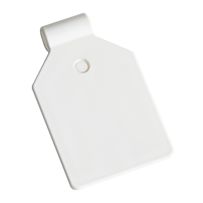 morepic-1