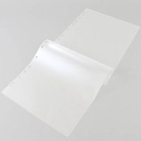 morepic-1