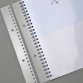 Filestrips voor wirebind bindruggen, A5, 3:1, vierkante perforatie 