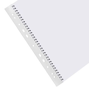 Filestrips voor wirebind bindruggen, A4, 3:1, ronde perforatie 