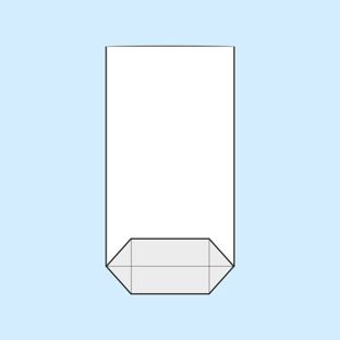 Kruisbodemzak, OPP-folie 100 x 175 mm