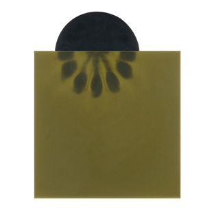 Fluxdetectorfolie voor het weergeven van magnetische velden 150 x 150 mm