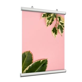 Posterstrips (1 paar), aluminium, klikprofiel 800 mm | zilver 