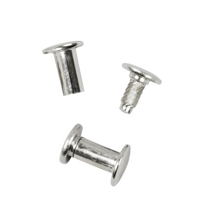 Busschroeven met inslagkop, vernikkeld 12 mm