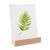 Houten kaarthouder 100 mm | Beuken  | schuine insteekgleuf  | natuurlijk 
