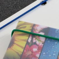 morepic-5